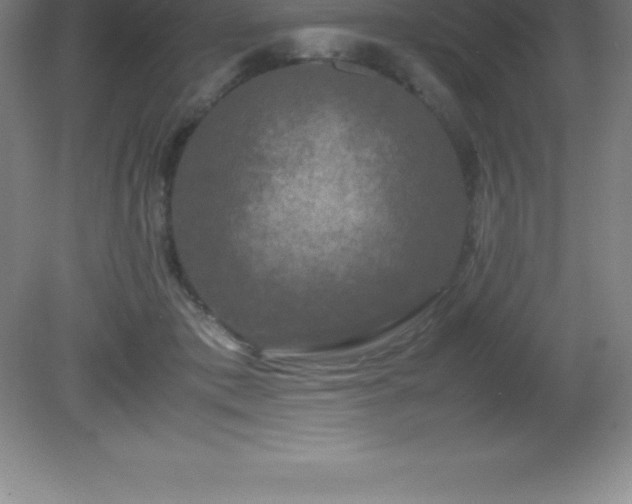 X0000081330413200701181959