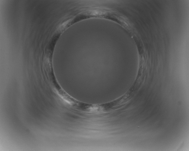 X0000081330415200701181959