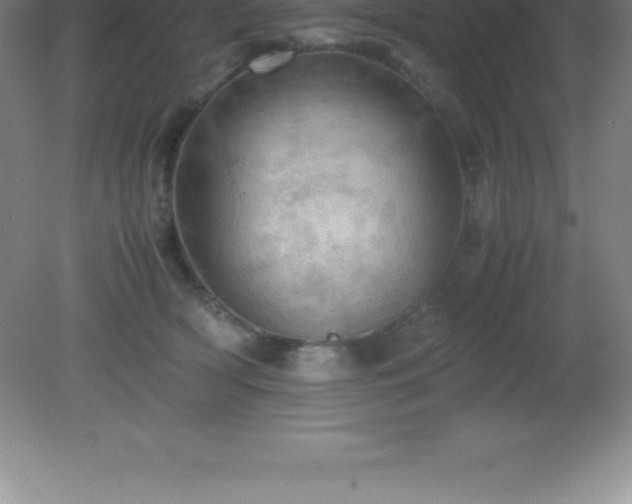 X0000081330418200701181959