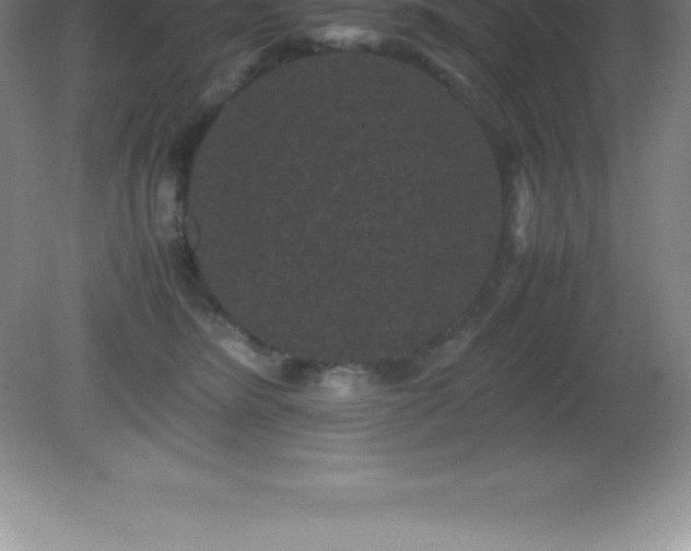 X0000081330420200701181959