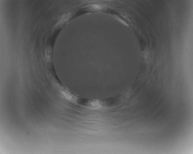 X0000081330423200701181959