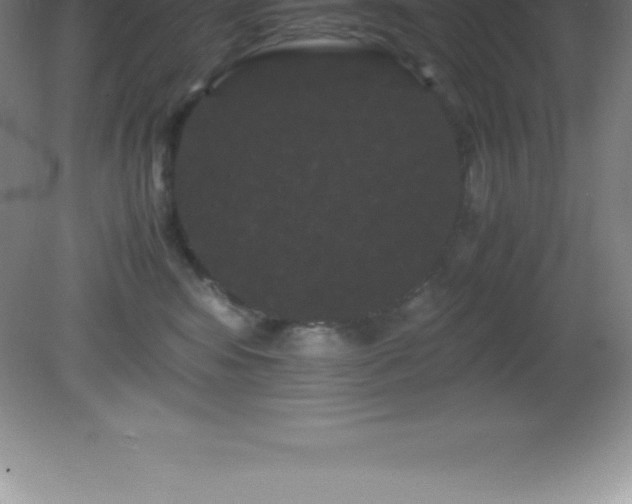 X0000081330424200701181959