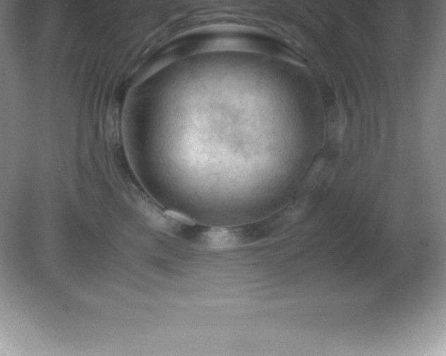 X0000081330425200701181959
