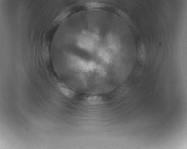 X0000081330426200701181959