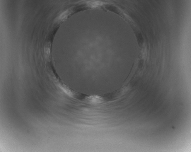 X0000081330427200701181959