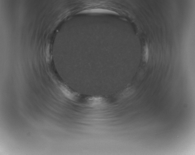 X0000081330428200701181959