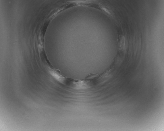 X0000081330430200701181959