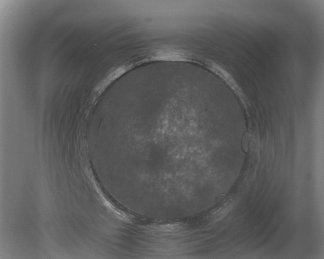 X0000081330433200701181958