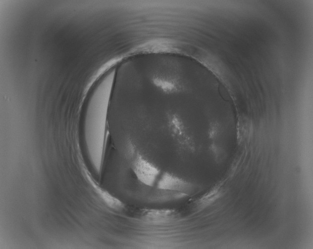 X0000081330438200701181958
