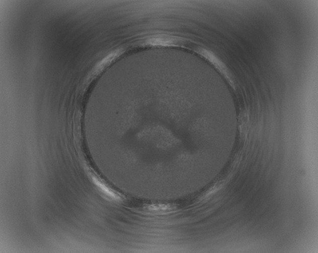 X0000081330445200701181958