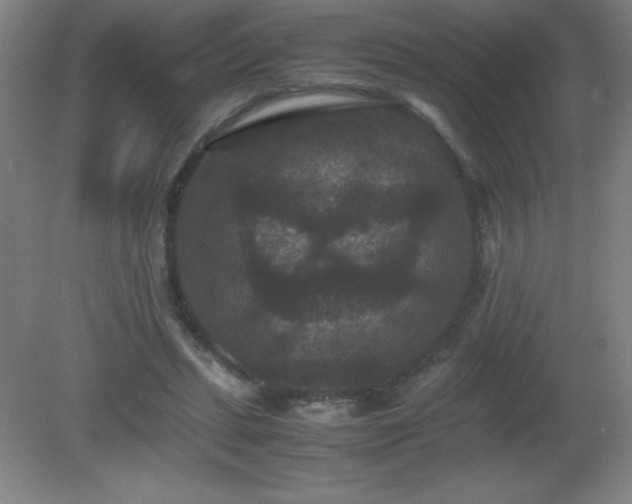 X0000081330447200701181958