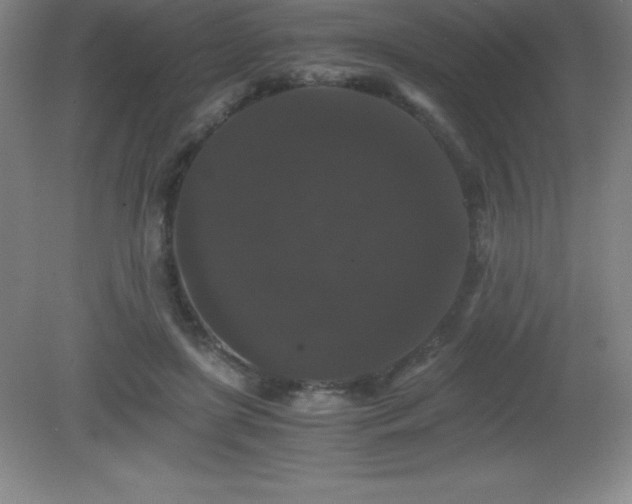 X0000081330451200701181959