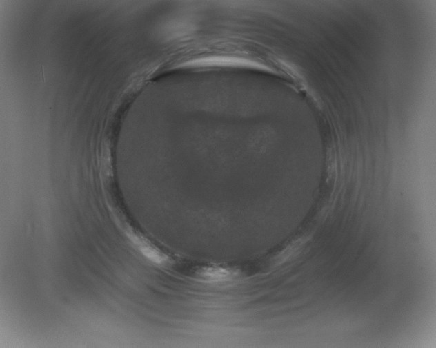 X0000081330453200701181959