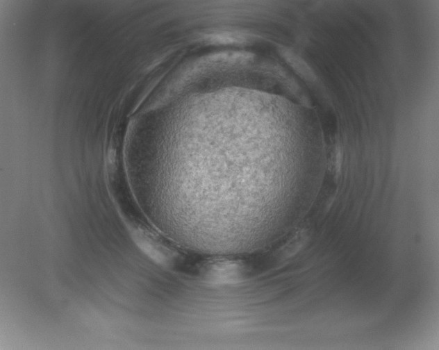 X0000081330456200701181959