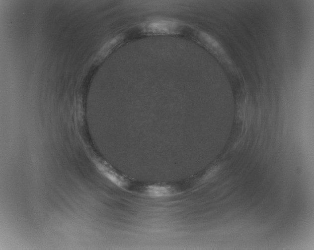 X0000081330457200701181959