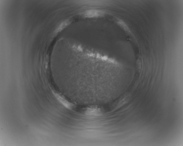 X0000081330458200701181959