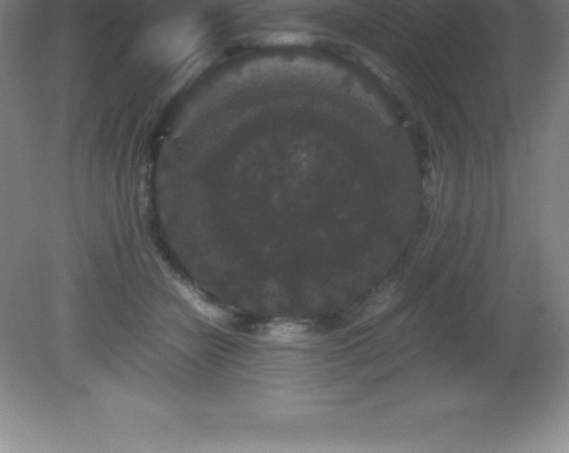 X0000081330462200701181959