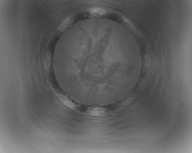 X0000081330463200701181959