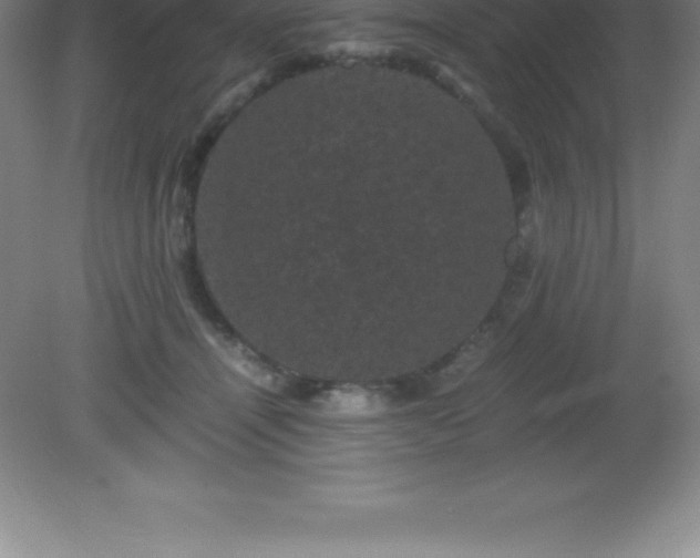 X0000081330464200701181959