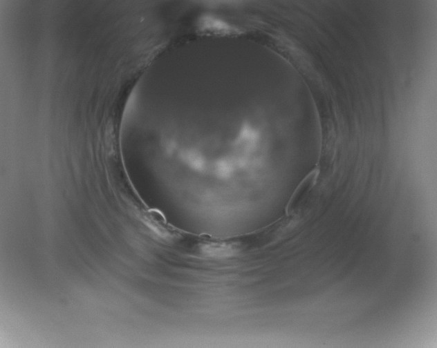 X0000081330465200701181959