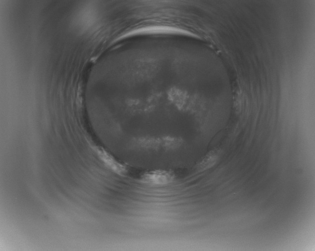 X0000081330466200701181959