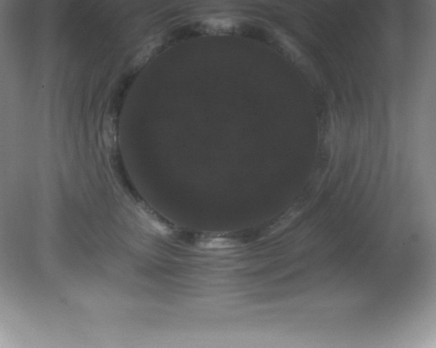 X0000081330467200701181959