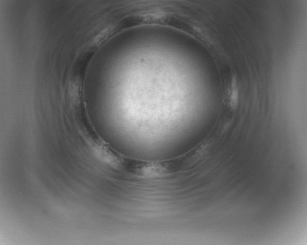 X0000081330468200701181959