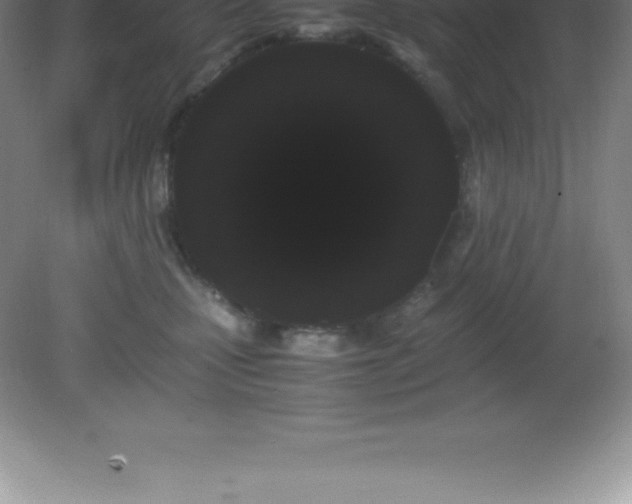 X0000081330471200701181959