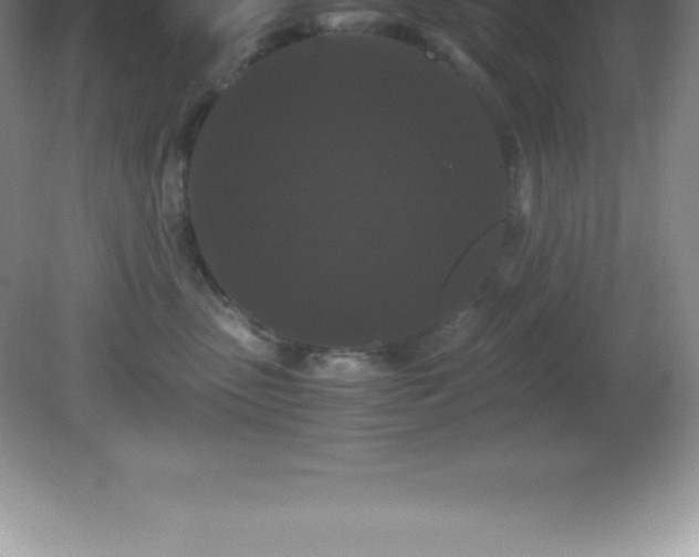 X0000081330475200701181959