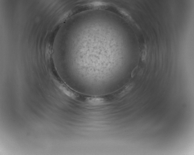 X0000081330476200701181959