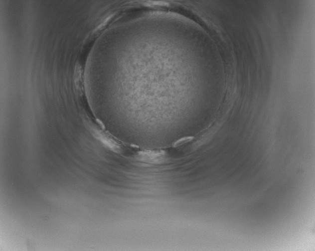 X0000081330480200701181959