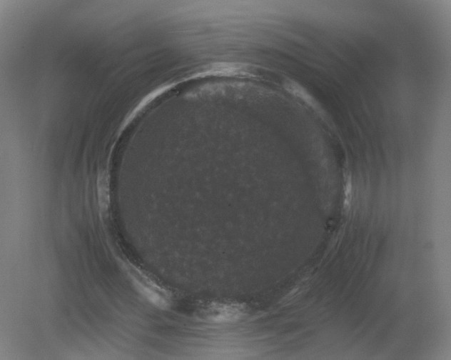 X0000081330484200701181958