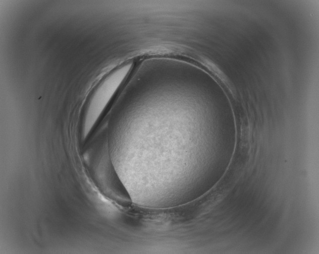 X0000081330485200701181958