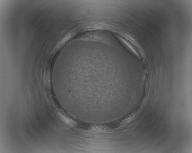 X0000081330489200701181958