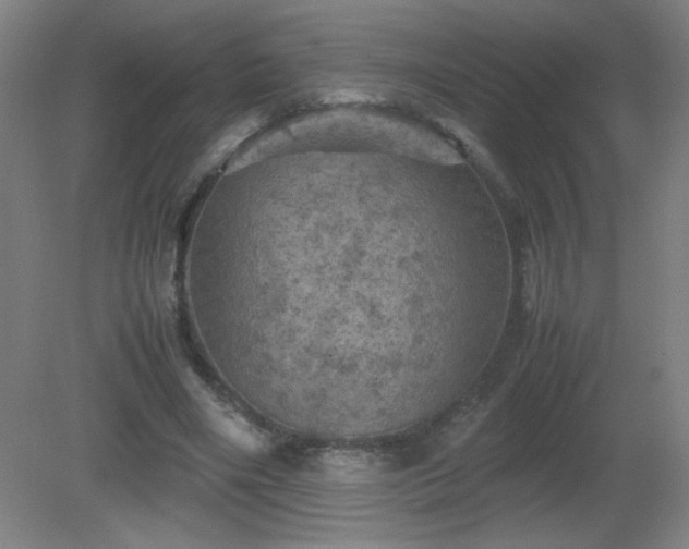 X0000081330490200701181958