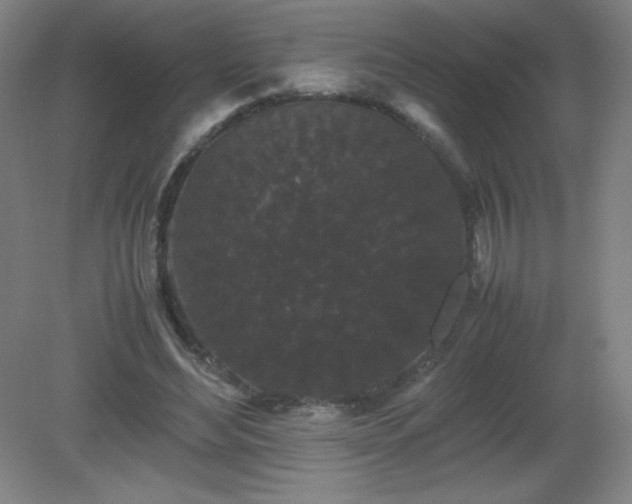 X0000081330492200701181958