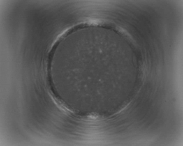 X0000081330496200701181958