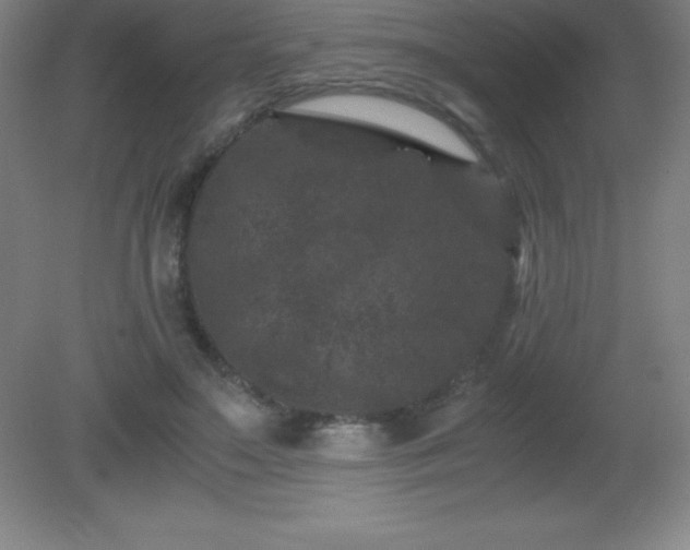 X0000081330499200701181958
