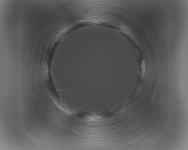 X0000081330500200701181958