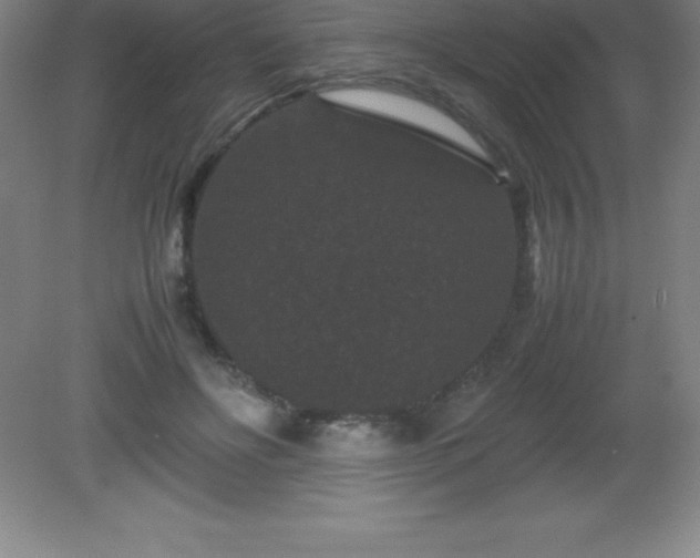 X0000081330502200701181958