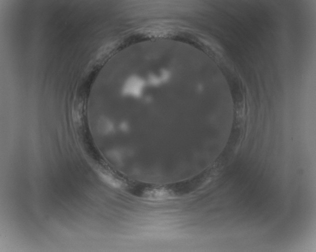 X0000081330503200701181958