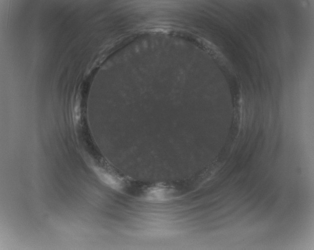 X0000081330504200701181958