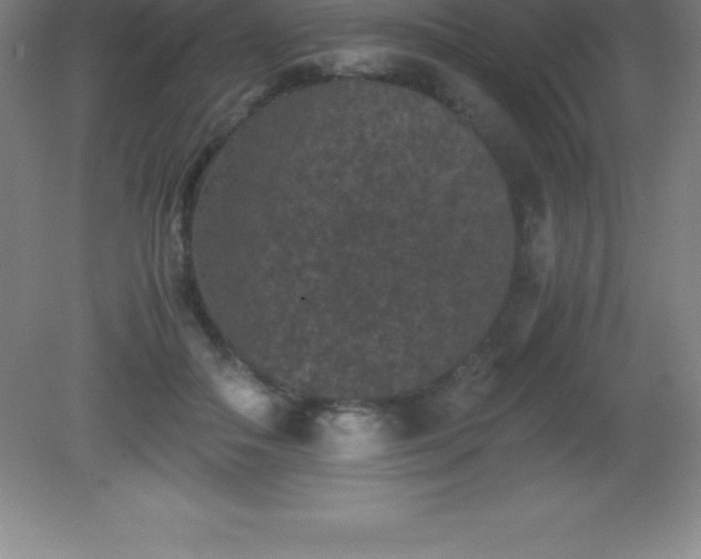 X0000081330506200701181958