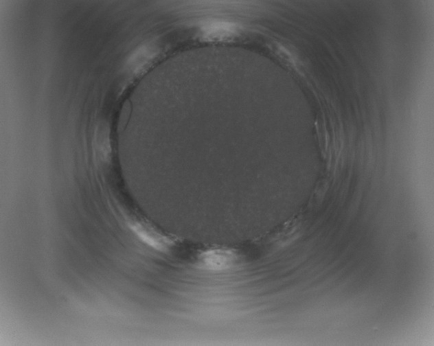X0000081330508200701181958