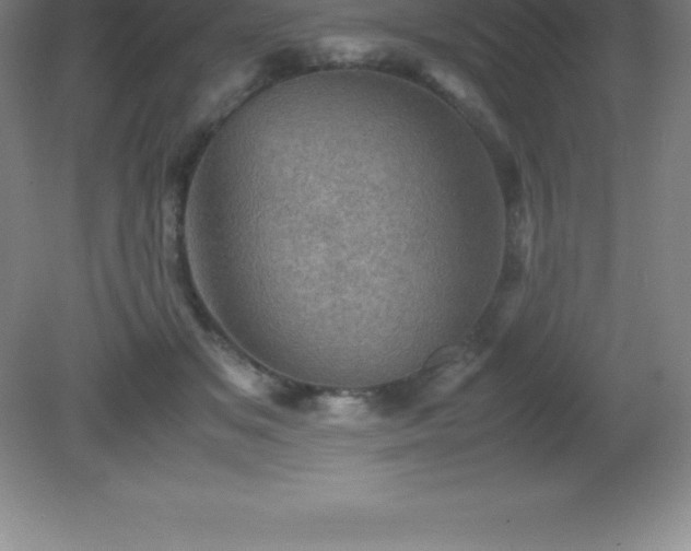 X0000081330509200701181958