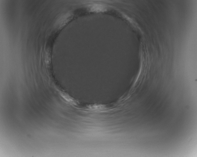 X0000081330517200701181958
