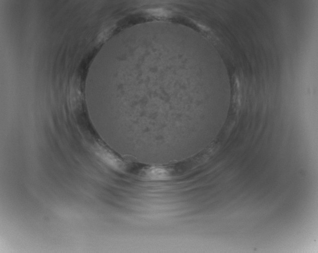 X0000081330518200701181958