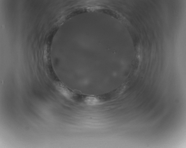 X0000081330519200701181958