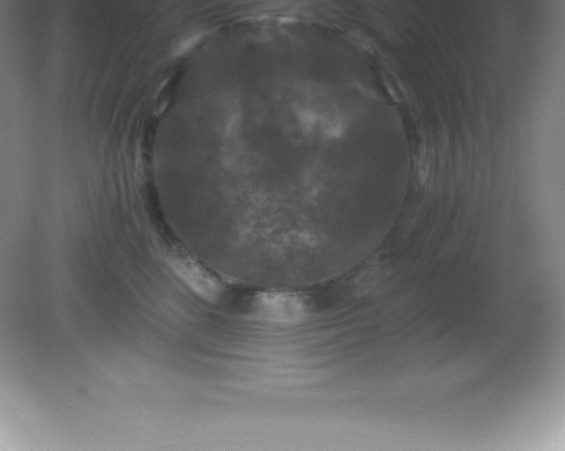 X0000081330520200701181958