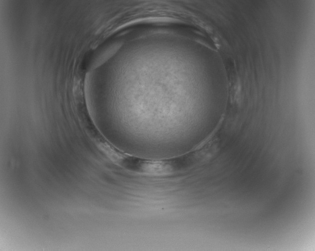 X0000081330521200701181958